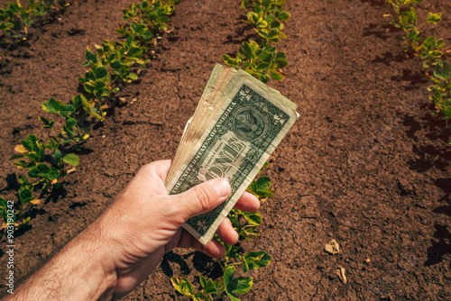 Obraz na plátně Profit from soybean farming, closeup of farmer holding american dollar currency