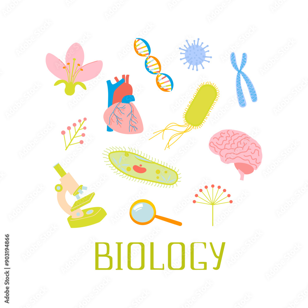 Arrangement design with biology lessons illustrations and lettering. School laboratory and science elements microscope, cells, dna, ciliate slipper, chromosome, heart, brain, bacteria, virus, flower Arrangement design with biology lessons illustrations and lettering. School laboratory and science elements microscope, cells, dna, ciliate slipper, chromosome, heart, brain, bacteria, virus, flower