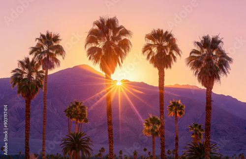 Palm trees and desert mountain at sunset in Palm Springs, California photo