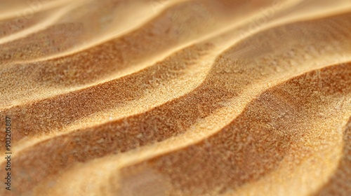 Wind-sculpted sand ripples in a desert landscape under clear blue sky