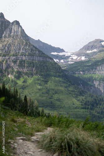 Meadow in mountains