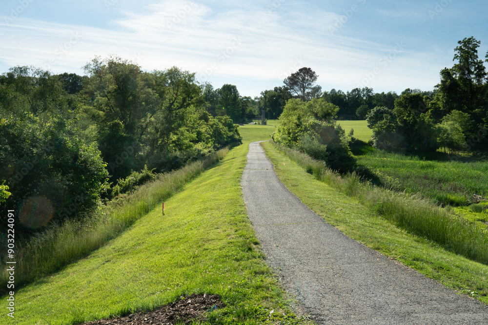 paved asphalt walking path of public walking and running trail in a local park for outdoor activities through a meadow full of trees and bushes and local plants paved asphalt walking path of public walking and running trail in a local park for outdoor activities through a meadow full of trees and bushes and local plants