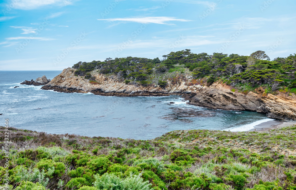 Fototapeta premium Point Lobos State Natural Reserve, Carmel, Monterey County, California, United States of America