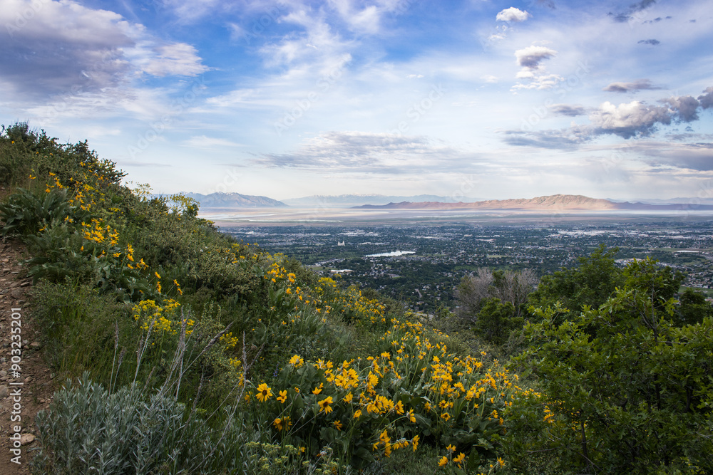 Utah County