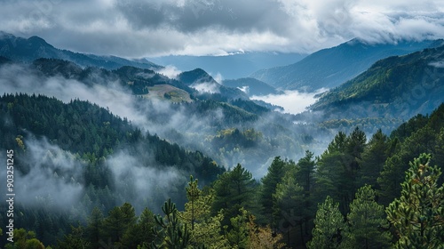 Outdoor photo of landscape view from the height