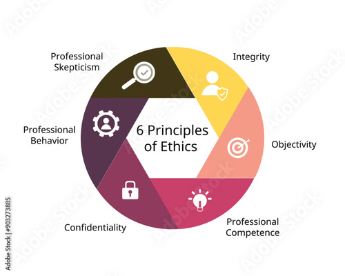 6 principles of ethics for professional accountant 