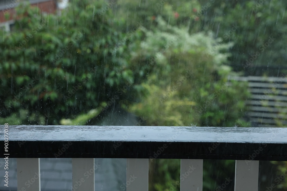 View on trees in backyard from balcony on rainy day
