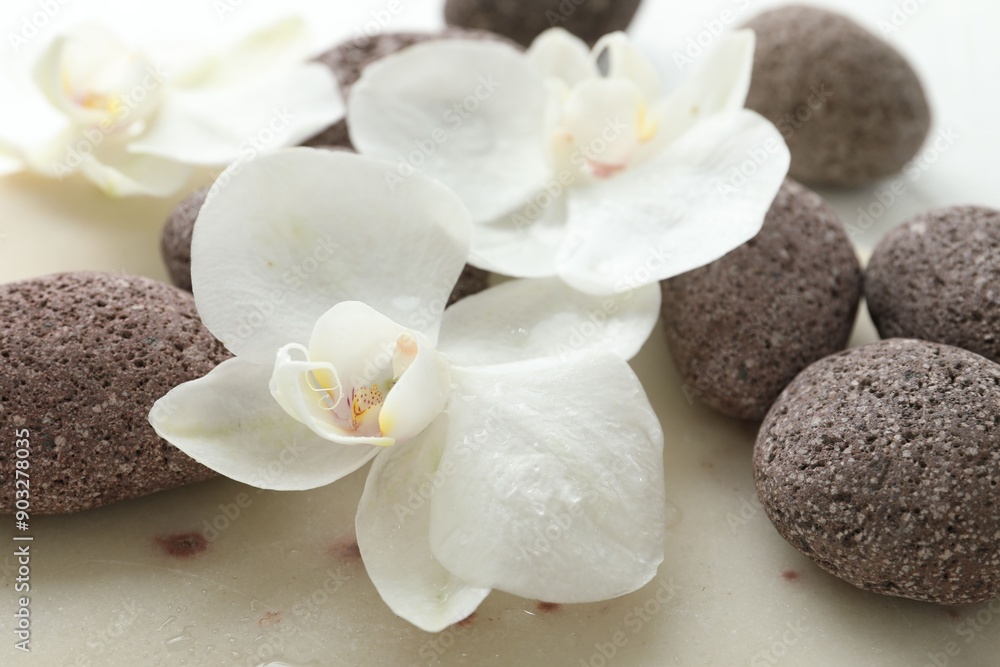 Spa stones and beautiful orchid flowers on white surface, closeup Spa stones and beautiful orchid flowers on white surface, closeup