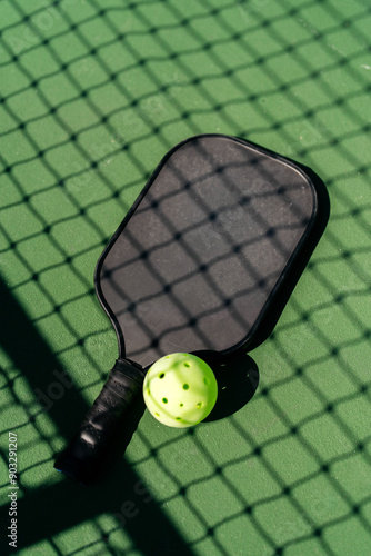 closeup of pickleball paddle and pickleball net on a court