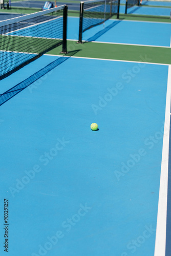 pickleball court and ball photo