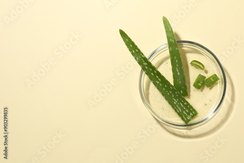 Petri dish with fresh aloe vera leaves on beige background, top view. Space for text