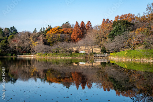 Obraz na płótnie 横浜2012 三ッ池公園4 紅葉