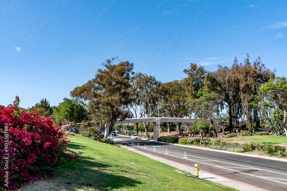 Southbound Park Boulevard near I-5 in San Diego, CA. This boulevard view is going southbound toward downtown.