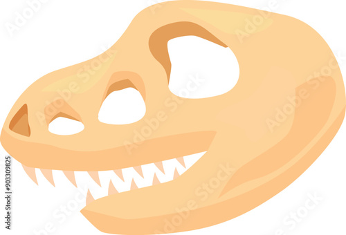 Side view of a tyrannosaurus rex skull showing sharp teeth and eye sockets