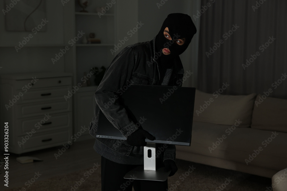 Thief stealing computer monitor at foreign house. Burglary Thief stealing computer monitor at foreign house. Burglary