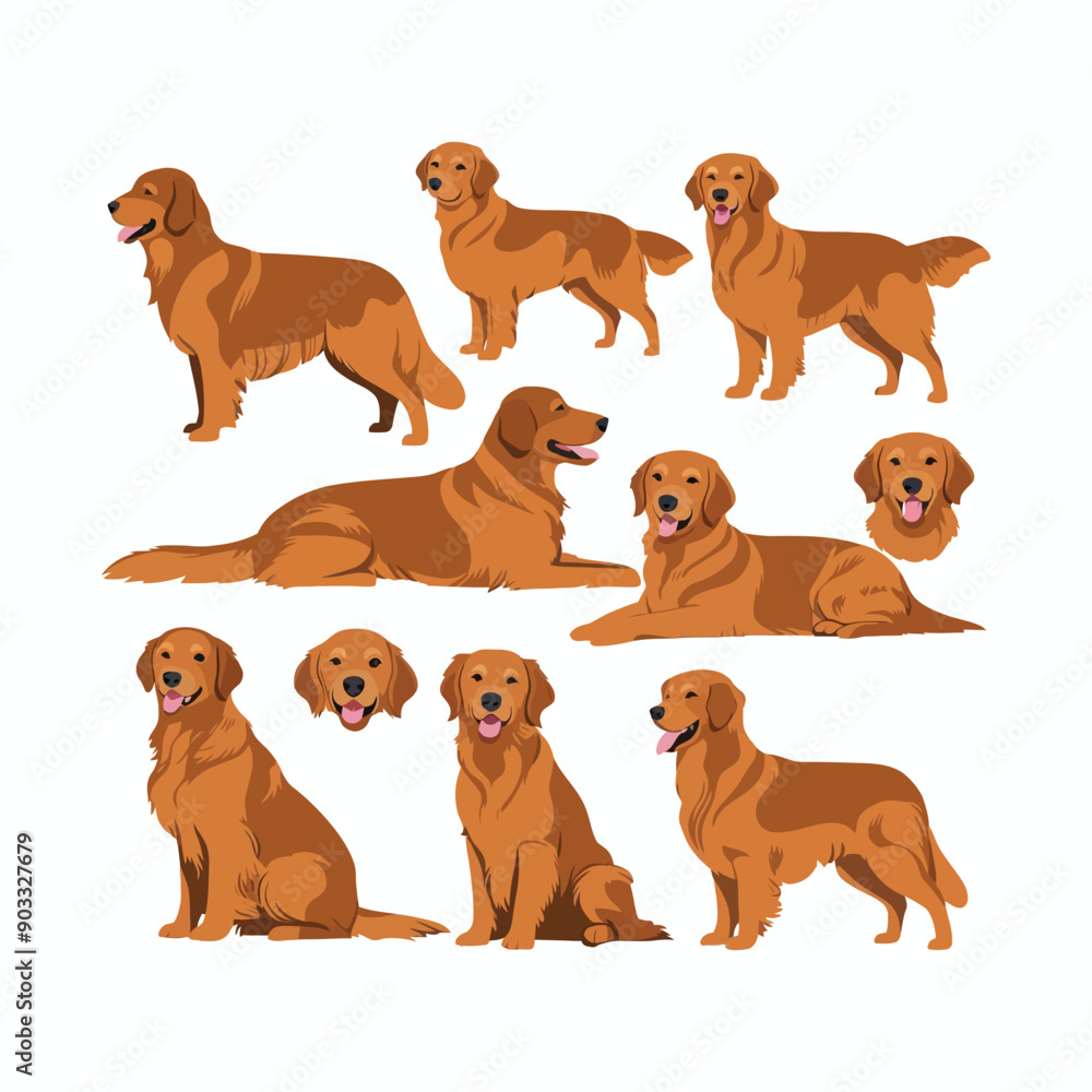 Obraz premium Golden Retriever dog silhouette set animals vector template