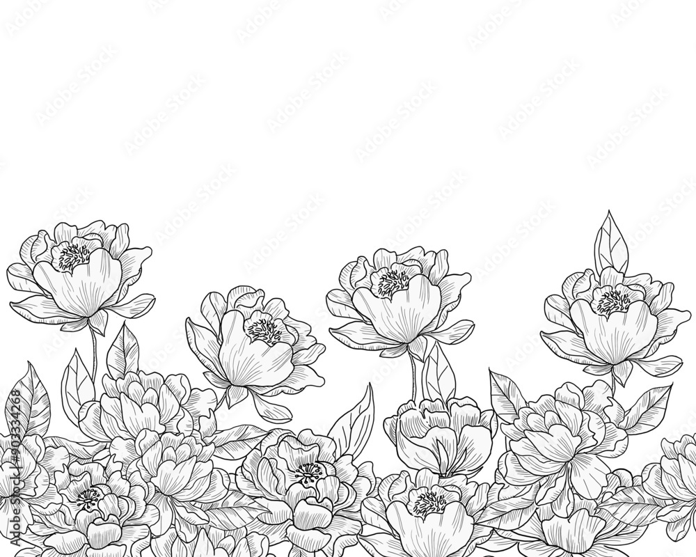 Hand Drawn Peony Flower and Leaves Background Hand Drawn Peony Flower and Leaves Background