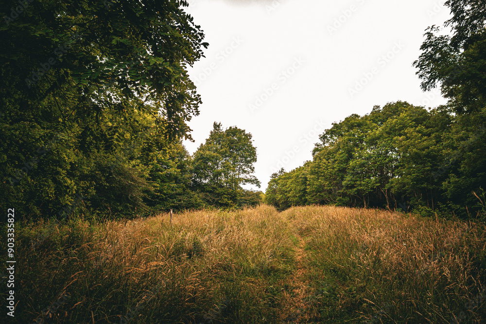 Obraz premium Open Prairie