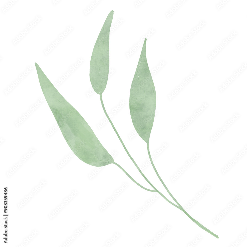 Fototapeta premium Green leaves watercolor isolated on white background 