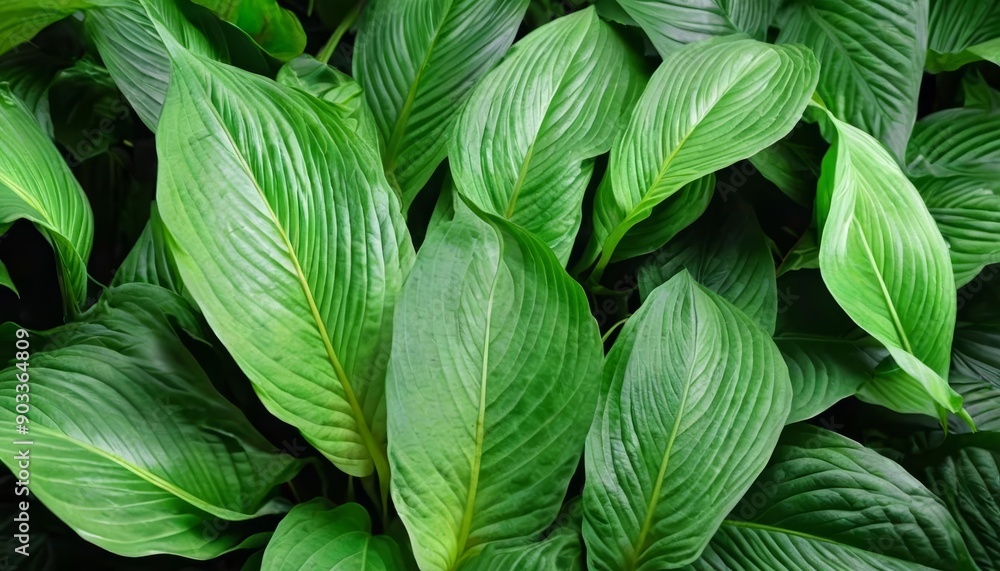 Vibrant green leaves in closeup perfect for naturethemed projects Vibrant green leaves in closeup perfect for naturethemed projects