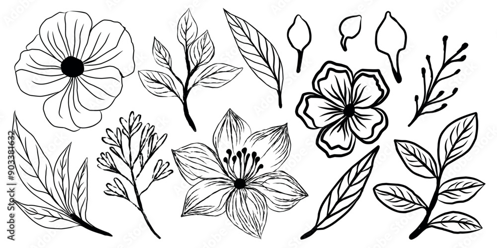 Obraz premium vector hand-drawn line art flower and leaf