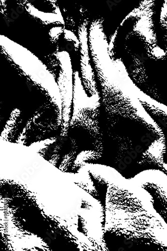 abstract black and white texture background for design