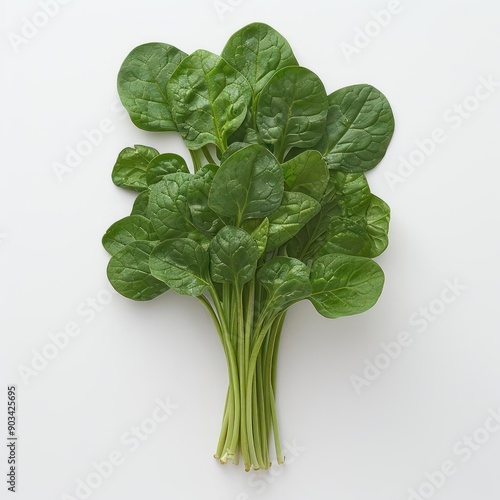 arafed bunch of spinach leaves on a white surface photo