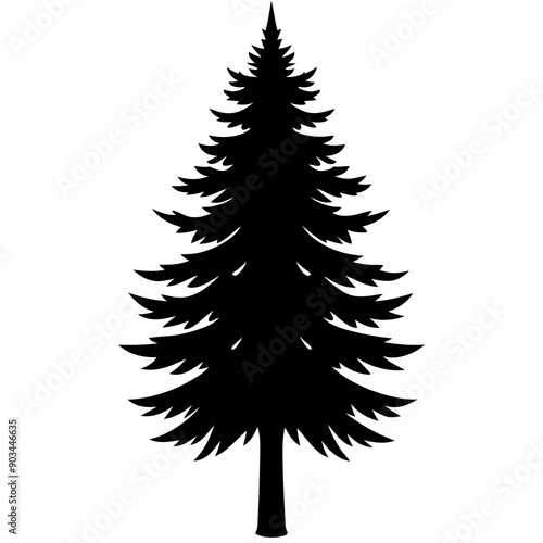 Silhouette of a pine tree Douglas spruce vector illustration design