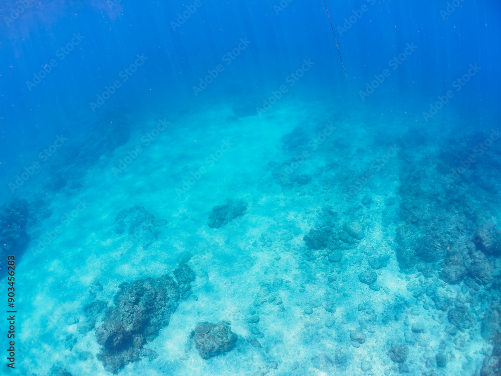 Fototapeta premium 透明度の良い美しい白い砂地の水底。日本国静岡県伊豆半島賀茂郡南伊豆町中木から渡し船で渡るヒリゾ浜-2024年7月 