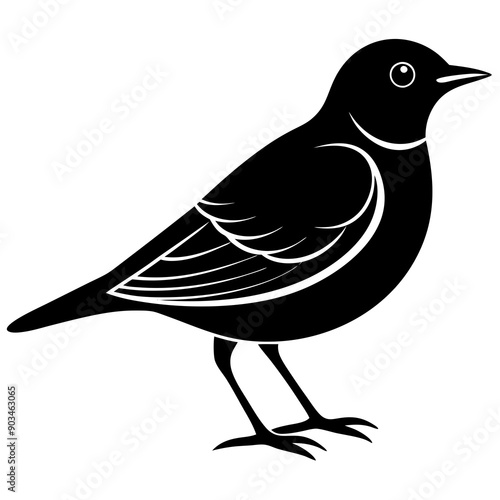 Silhouette of a lark bird vector illustration template