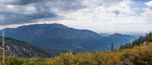 big bear landscape