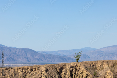 Anza-Borrego desert with small bush on horizon