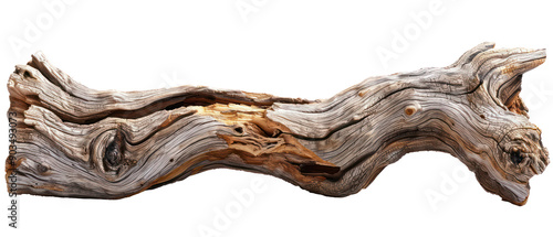 Beautiful driftwood and trees branch tree, dry wood, bare tree, twig. Close up Various textured pieces isolated on background