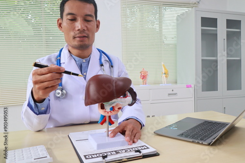 Принти на полотні A male doctor sits at his desk in an office, liver health