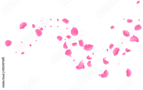 Rose petals or sakura flying petals, romantic background with realistic pink cherry flower petals flow or falling motion. Love, romance, floral spring season