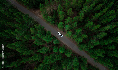 Aerial view of dark green forest road and white electric car Natural landscape and elevated roads Adventure travel and transportation and environmental protection concept