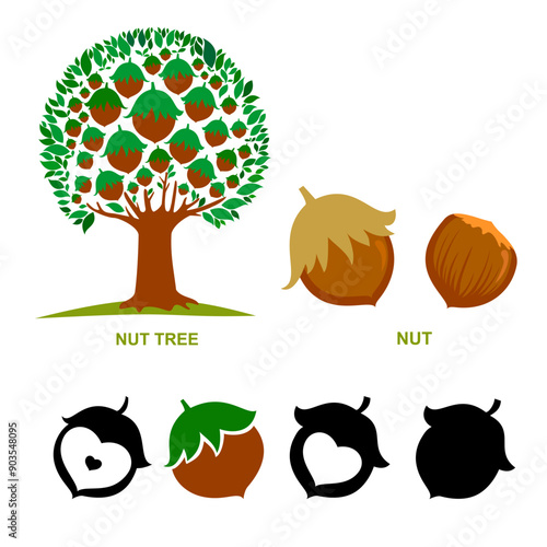 Hazelnuts tree isolated on white. Silhouette. Icon. Sign. Set of detailed hand drawn hazelnuts isolated on white background. Vector Illustration