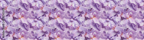 a background of dewy purple irises