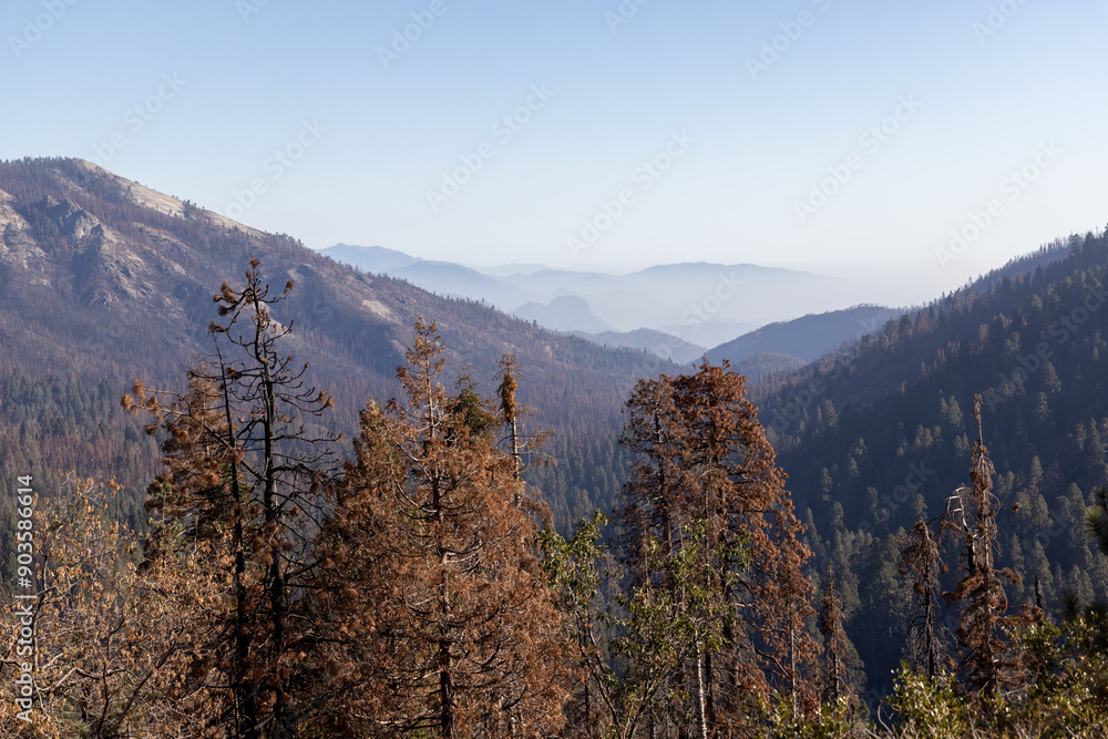 Mountain landscape in Yosemite National Park Mountain landscape in Yosemite National Park