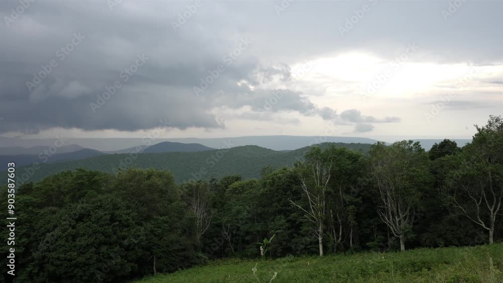 Single-point panoramic shot right to left, capturing a cloudy sky over forested mountainous area. Pine trees dominate verdant landscape, creating serene wilderness scene beneath overcast conditions. Single-point panoramic shot right to left, capturing a cloudy sky over forested mountainous area. Pine trees dominate verdant landscape, creating serene wilderness scene beneath overcast conditions.