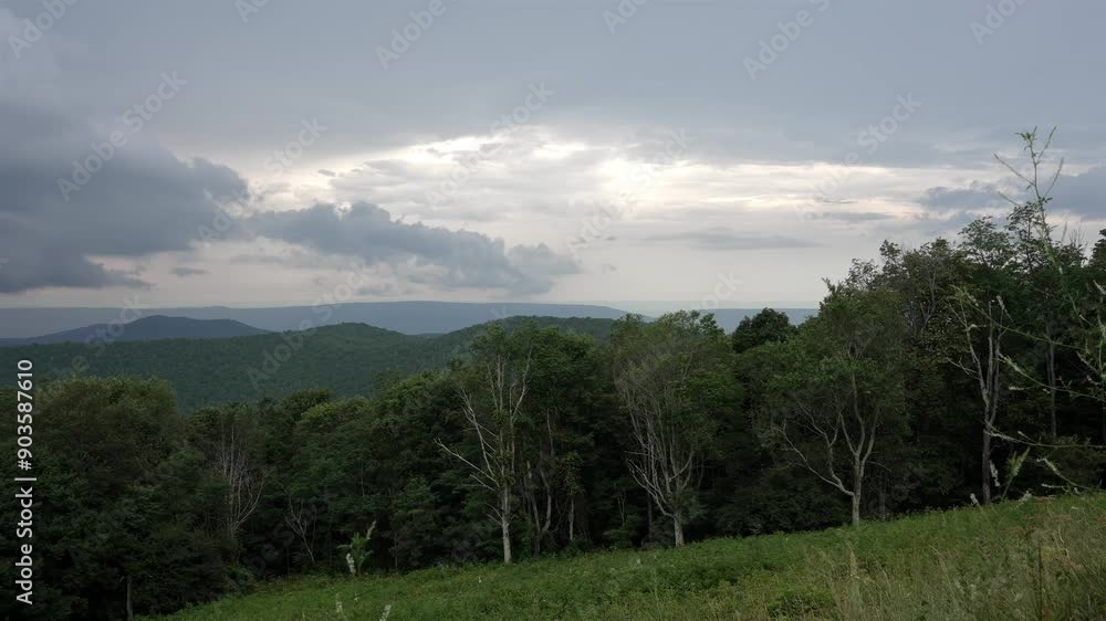 Single-point panoramic shot moving right to left. Cloudy sky over forested mountainous area. Pine trees dominate verdant landscape, creating serene wilderness scene beneath overcast conditions.