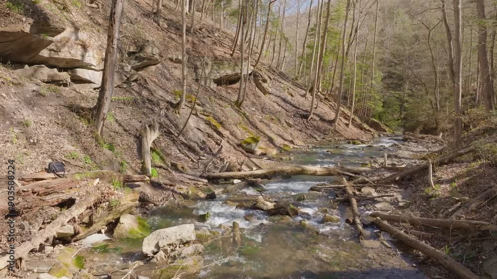 A serene forest stream flows through a rocky landscape on a sunny day A serene forest stream flows through a rocky landscape on a sunny day