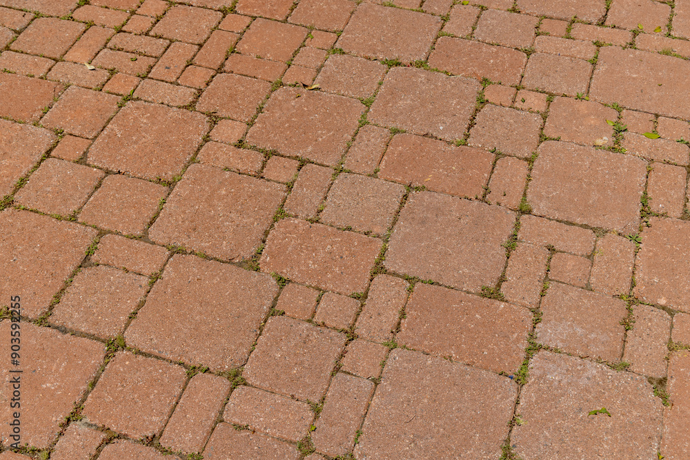 Texture and detail of a brick footpath Texture and detail of a brick footpath