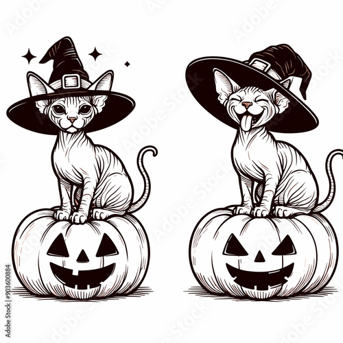  Sphynx Cat Wearing Witch Hat On Pumpkin Halloween Costume Cute Cartoon   Vector svg Clipart