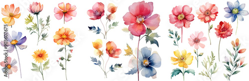 Watercolor floral package collection. Use by fabric, fashion, wedding invitation, template, poster, romance, greeting, spring, bouquet, pattern, decoration and textile.	