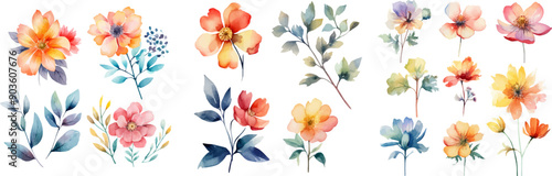 Watercolor floral package collection. Use by fabric, fashion, wedding invitation, template, poster, romance, greeting, spring, bouquet, pattern, decoration and textile.	