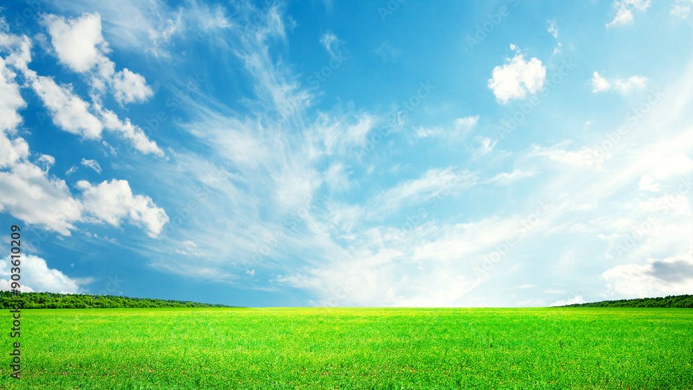 Summer landscape with green field and sky Summer landscape with green field and sky
