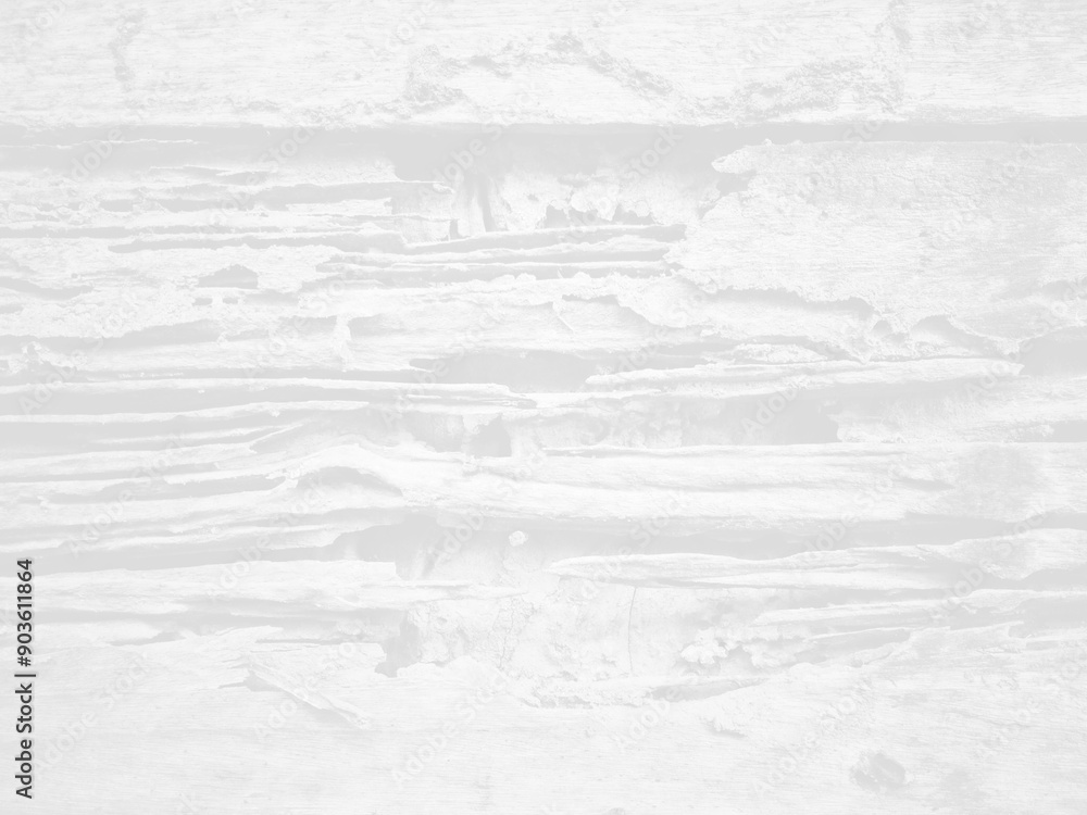 Obraz premium Abstract old damaged wood background, white filter effect, termite damaged wood wall