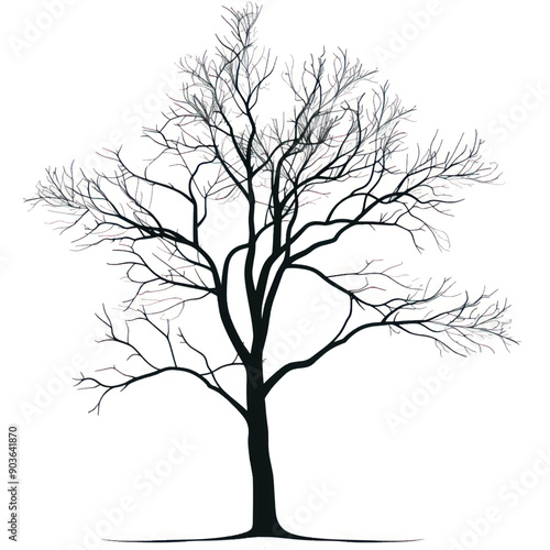Bare tree silhouette winter season