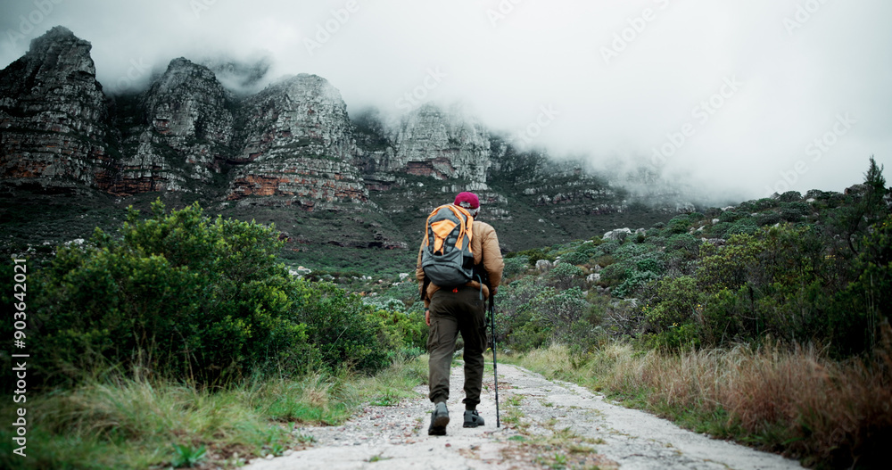 Back, mountain or man on trail hiking in outdoor adventure or forest journey in nature for travel. Healthy, stick and person on walking for holiday, exercise or trekking to explore for wellness Back, mountain or man on trail hiking in outdoor adventure or forest journey in nature for travel. Healthy, stick and person on walking for holiday, exercise or trekking to explore for wellness